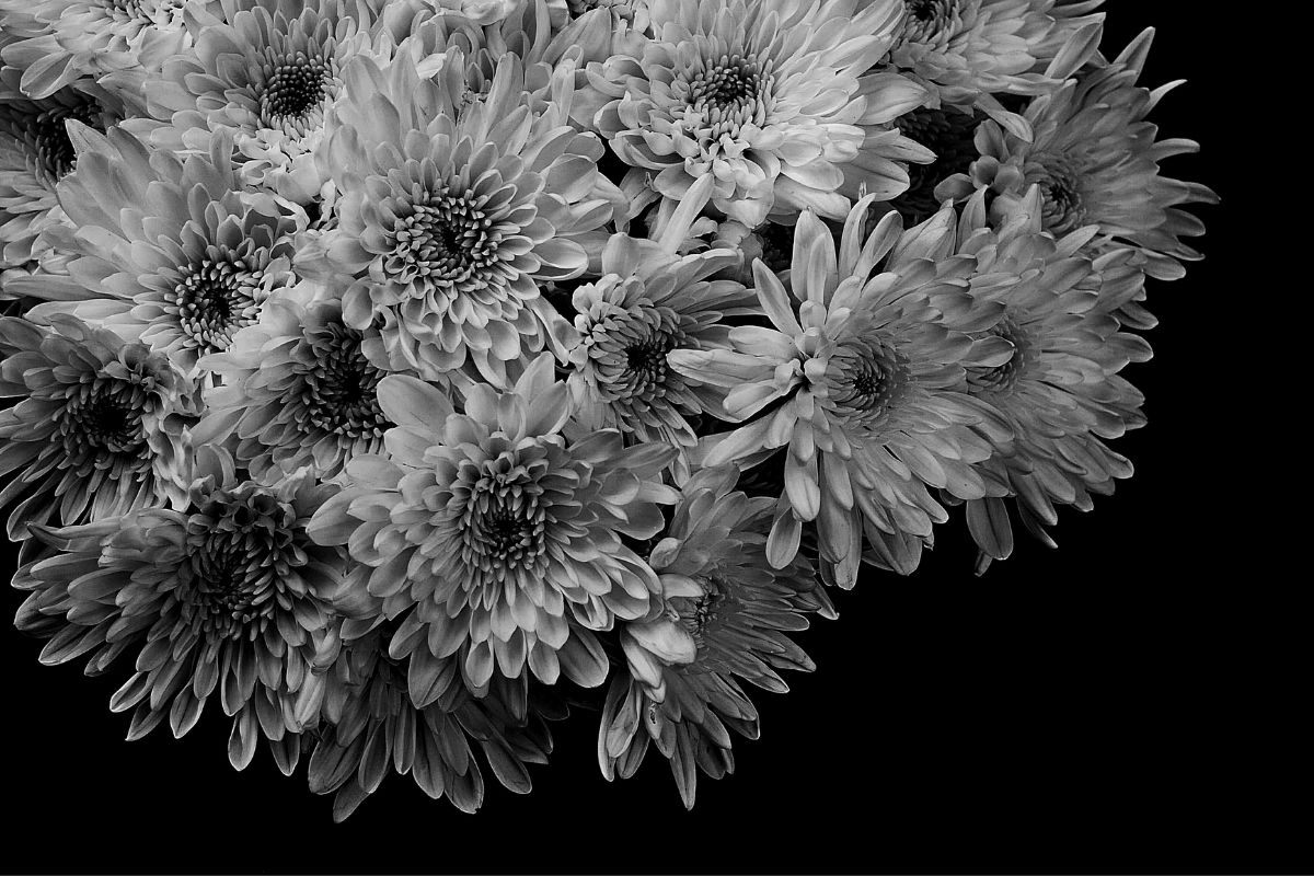 detail-img-lg